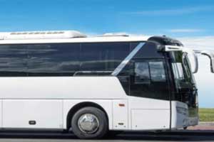 buses